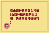 在山西种黄精怎么种植(山西种植黄精的全过程，快速掌握种植技巧)