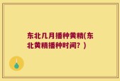 东北几月播种黄精(东北黄精播种时间？)