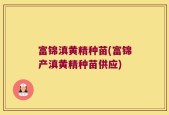 富锦滇黄精种苗(富锦产滇黄精种苗供应)