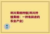 利川黄精种植(利川种植黄精：一种有前途的农业产业)