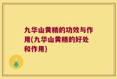 九华山黄精的功效与作用(九华山黄精的好处和作用)