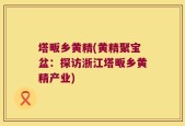 塔畈乡黄精(黄精聚宝盆：探访浙江塔畈乡黄精产业)
