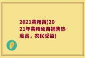 2021黄精苗(2021年黄精幼苗销售热度高，农民受益)