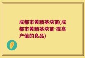 成都市黄精茎块苗(成都市黄精茎块苗-提高产值的良品)