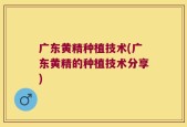 广东黄精种植技术(广东黄精的种植技术分享)