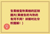 生黄精变熟黄精的区别图片(黄精生的与熟的有何不同？详细对比分析图解！)