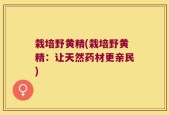 栽培野黄精(栽培野黄精：让天然药材更亲民)