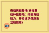 安福黄精基地(安福黄精种植基地：挖掘黄精魅力，开启追求健康生活新篇章)