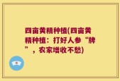 四亩黄精种植(四亩黄精种植：打好人参“牌”，农家增收不愁)