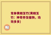 党参黄精玉竹(黄精玉竹：神奇养生植物，功效多多)