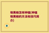 地黄精怎样种植(种植地黄精的方法和技巧简介)
