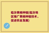 临汾黄精种植(临汾地区推广黄精种植技术，促进农业发展)