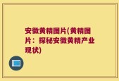 安徽黄精图片(黄精图片：探秘安徽黄精产业现状)