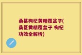 桑甚枸杞黄精覆盆子(桑甚黄精覆盆子 枸杞功效全解析)