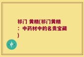 祁门 黄精(祁门黄精：中药材中的名贵宝藏)