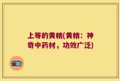 上等的黄精(黄精：神奇中药材，功效广泛)