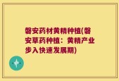 磐安药材黄精种植(磐安草药种植：黄精产业步入快速发展期)