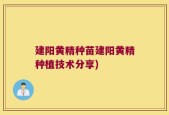 建阳黄精种苗建阳黄精种植技术分享)