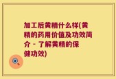 加工后黄精什么样(黄精的药用价值及功效简介 - 了解黄精的保健功效)