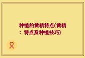 种植的黄精特点(黄精：特点及种植技巧)