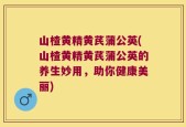 山楂黄精黄芪蒲公英(山楂黄精黄芪蒲公英的养生妙用，助你健康美丽)