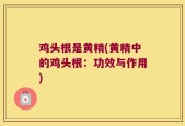 鸡头根是黄精(黄精中的鸡头根：功效与作用)