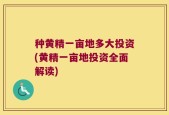 种黄精一亩地多大投资(黄精一亩地投资全面解读)