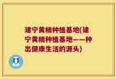 建宁黄精种植基地(建宁黄精种植基地——种出健康生活的源头)