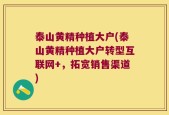 泰山黄精种植大户(泰山黄精种植大户转型互联网+，拓宽销售渠道)
