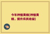 今年种植黄精(种植黄精，提升农民收益)