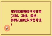 石斛葛根黄精桦褐孔菌(石斛、葛根、黄精、桦褐孔菌的多效营养值)