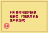 利川黄精种苗(利川黄精种苗：打造优质农业生产新选择)