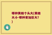 哪种黄精个头大(黄精大小-哪种更加巨大？)