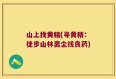 山上找黄精(寻黄精：徒步山林离尘找良药)