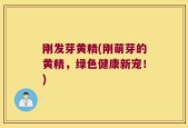 刚发芽黄精(刚萌芽的黄精，绿色健康新宠！)