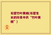 石壁竹叶黄精(石壁生长的珍贵中药“竹叶黄精”)