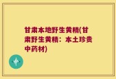 甘肃本地野生黄精(甘肃野生黄精：本土珍贵中药材)