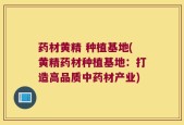 药材黄精 种植基地(黄精药材种植基地：打造高品质中药材产业)