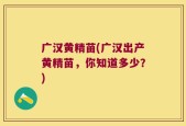 广汉黄精苗(广汉出产黄精苗，你知道多少？)