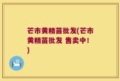 芒市黄精苗批发(芒市黄精苗批发 售卖中！)