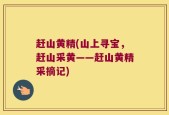 赶山黄精(山上寻宝，赶山采黄——赶山黄精采摘记)