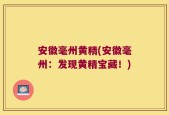 安徽毫州黄精(安徽毫州：发现黄精宝藏！)