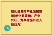 新化县黄精产业发展现状(新化县黄精：产业兴旺，为乡村振兴注入新动力)