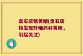 盘石店镇黄精(盘石店镇发现珍稀药材黄精，引起关注)