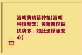 嵩明黄精苗种植(嵩明种植新宠：黄精苗挖掘优势多，如此选择更安心)
