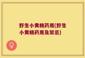 野生小黄精药用(野生小黄精药用及禁忌)