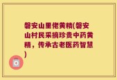 磐安山里佬黄精(磐安山村民采摘珍贵中药黄精，传承古老医药智慧)