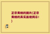 正宗黄精的图片(正宗黄精的真实面貌揭示！)