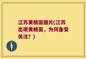 江苏黄精苗图片(江苏出现黄精苗，为何备受关注？)