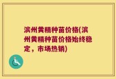 滨州黄精种苗价格(滨州黄精种苗价格始终稳定，市场热销)